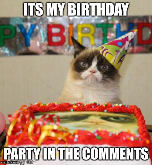 in case you wanna know when, it's april 29 | ITS MY BIRTHDAY; PARTY IN THE COMMENTS | image tagged in memes,grumpy cat birthday,grumpy cat | made w/ Imgflip meme maker