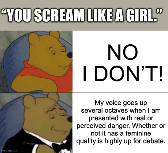 YoU sCrEaM lIkE a GiRl | “YOU SCREAM LIKE A GIRL.”; NO I DON’T! My voice goes up several octaves when I am presented with real or perceived danger. Whether or not it has a feminine quality is highly up for debate. | image tagged in memes,tuxedo winnie the pooh | made w/ Imgflip meme maker