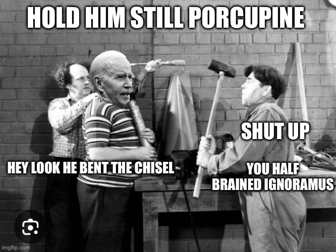 HOLD HIM STILL PORCUPINE; SHUT UP; HEY LOOK HE BENT THE CHISEL; YOU HALF BRAINED IGNORAMUS | made w/ Imgflip meme maker