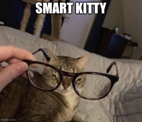 Yep | SMART KITTY | image tagged in cursed image,cats | made w/ Imgflip meme maker