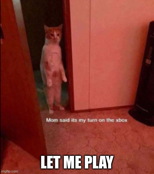 Pov It's time | LET ME PLAY | image tagged in gaming,cats | made w/ Imgflip meme maker