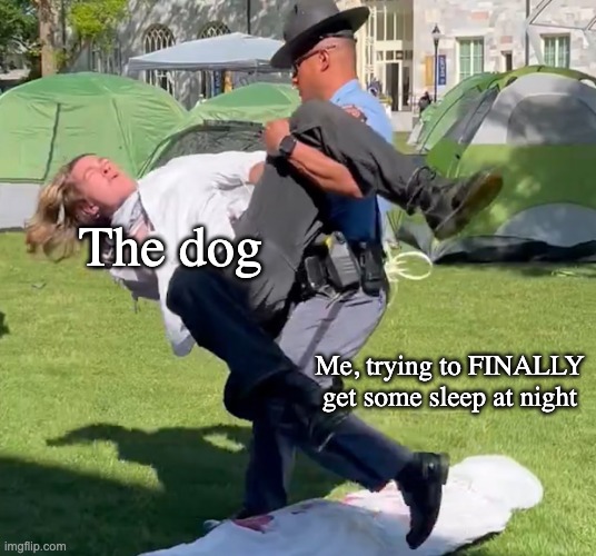 Take the dog out (not the evil way) | The dog; Me, trying to FINALLY get some sleep at night | image tagged in officer vs protestor | made w/ Imgflip meme maker