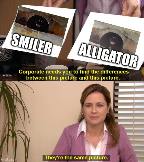 Smilers | SMILER; ALLIGATOR | image tagged in they are the same picture | made w/ Imgflip meme maker