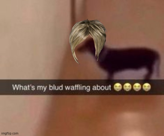 What's my blud waffling about | image tagged in what's my blud waffling about | made w/ Imgflip meme maker