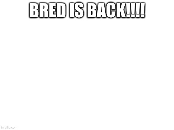 BRED IS BACK!!!!!! | made w/ Imgflip meme maker