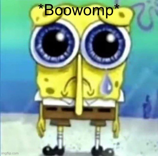 Sad eyed spongebob | *Boowomp* | image tagged in sad eyed spongebob | made w/ Imgflip meme maker