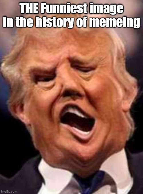 Enjoy | THE Funniest image in the history of memeing | image tagged in squiggly trump meme | made w/ Imgflip meme maker