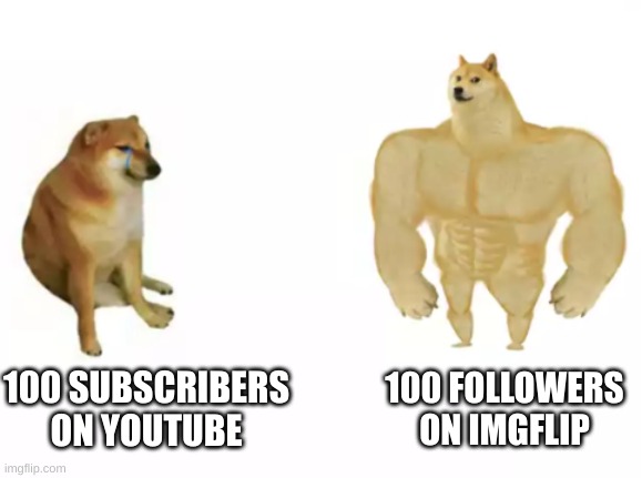 i have 0 on both | 100 FOLLOWERS ON IMGFLIP; 100 SUBSCRIBERS ON YOUTUBE | image tagged in buff doge vs cheems reversed | made w/ Imgflip meme maker