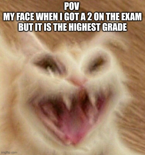jijijija | POV 
MY FACE WHEN I GOT A 2 ON THE EXAM BUT IT IS THE HIGHEST GRADE | image tagged in xd | made w/ Imgflip meme maker