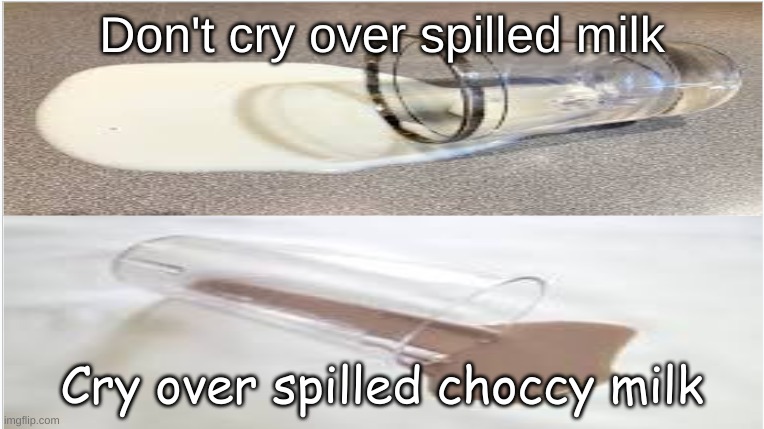 choccy and white spilled milk | Don't cry over spilled milk; Cry over spilled choccy milk | image tagged in choccy and white spilled milk | made w/ Imgflip meme maker