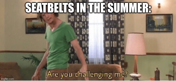 are you challenging me | SEATBELTS IN THE SUMMER: | image tagged in are you challenging me | made w/ Imgflip meme maker