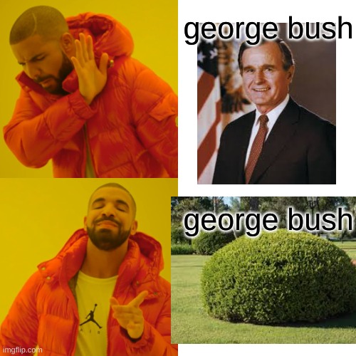 Drake Hotline Bling Meme | george bush; george bush | image tagged in memes,drake hotline bling,funny,george bush,bush,real | made w/ Imgflip meme maker