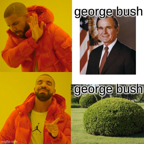 George Bush? | george bush; george bush | image tagged in memes,drake hotline bling,funny,george bush,bush,real | made w/ Imgflip meme maker