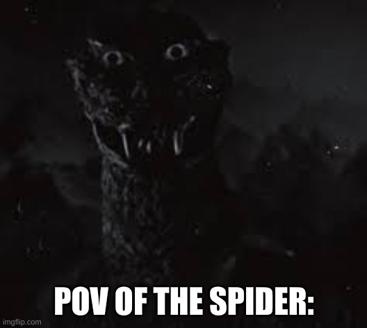 Staring Man In The Suit | POV OF THE SPIDER: | image tagged in staring man in the suit | made w/ Imgflip meme maker