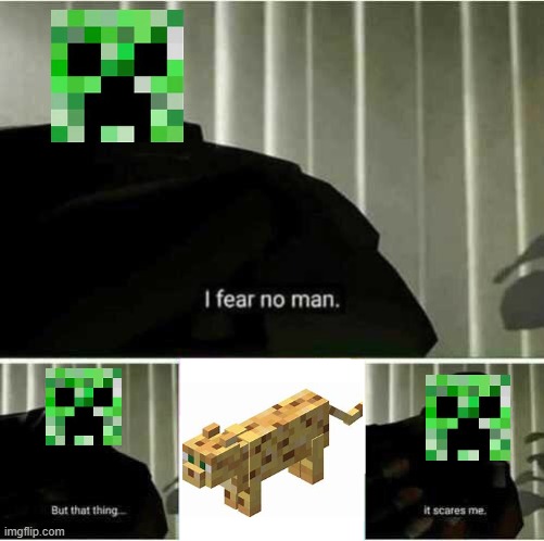I fear no man | image tagged in i fear no man,creeper | made w/ Imgflip meme maker