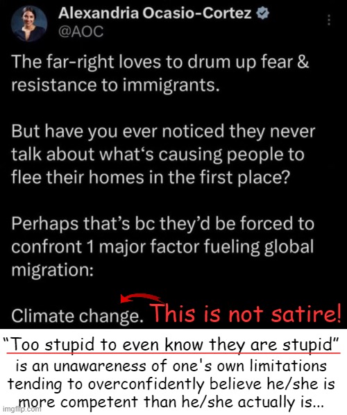AOC exemplifies the Dunning-Kruger effect... | ________________________________; This is not satire! “Too stupid to even know they are stupid”; is an unawareness of one's own limitations 
tending to overconfidently believe he/she is 
more competent than he/she actually is... | image tagged in alexandria ocasio-cortez,aoc,crazy aoc,illegal immigration,climate change,political humor | made w/ Imgflip meme maker