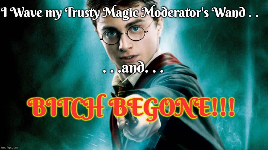 Moderator Majik | BITCH BEGONE!!! I Wave my Trusty Magic Moderator's Wand . . . . .and. . . | image tagged in harry potter magic wand | made w/ Imgflip meme maker