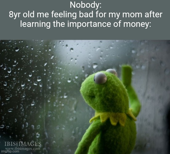 Poow pawents "WAAA" | Nobody:
8yr old me feeling bad for my mom after learning the importance of money: | image tagged in kermit window | made w/ Imgflip meme maker