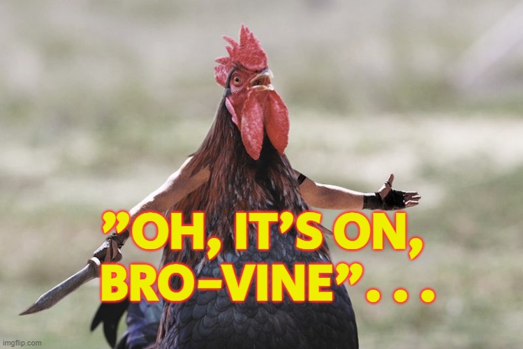 Gladiator Rooster | "OH, IT'S ON,
 BRO-VINE". . . | image tagged in gladiator rooster | made w/ Imgflip meme maker