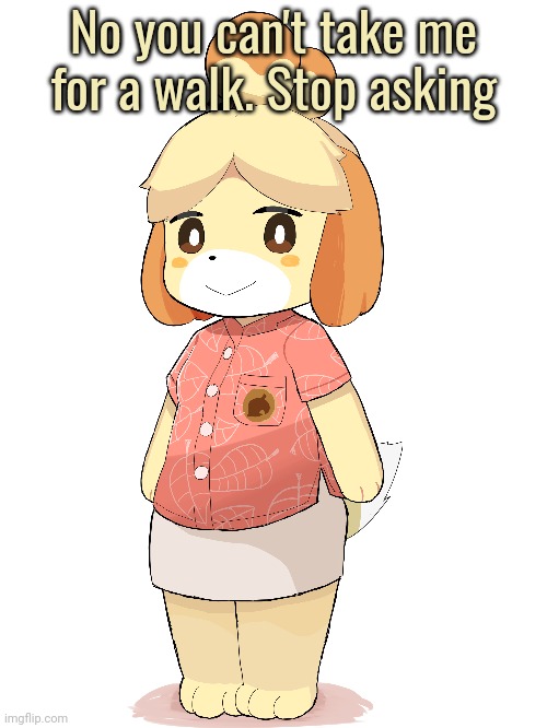 No you can't take me for a walk. Stop asking | made w/ Imgflip meme maker