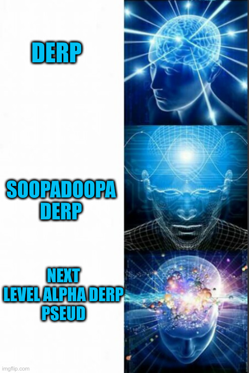enlightenment next level | DERP SOOPADOOPA DERP NEXT LEVEL ALPHA DERP
PSEUD | image tagged in enlightenment next level | made w/ Imgflip meme maker