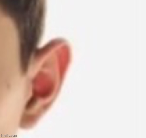 Guess who’s ear this is | made w/ Imgflip meme maker