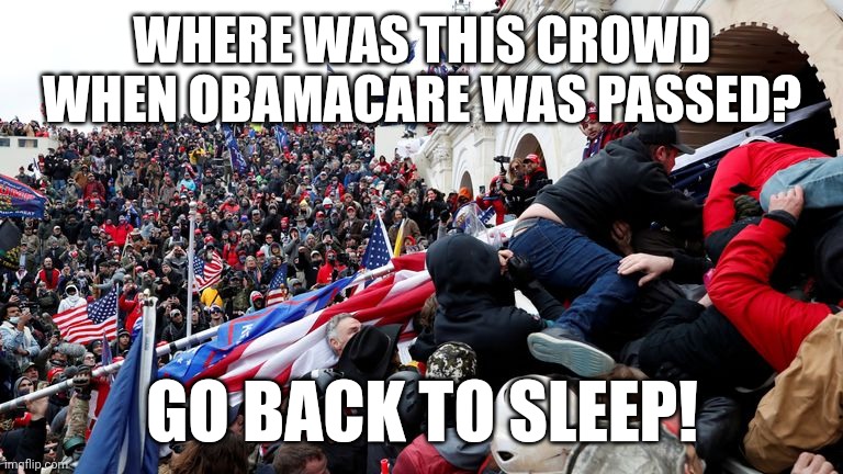Obamacare was the real call to action....but no one told you when you when to run....you missed the starting gun! | WHERE WAS THIS CROWD WHEN OBAMACARE WAS PASSED? GO BACK TO SLEEP! | image tagged in capitol terrorists | made w/ Imgflip meme maker