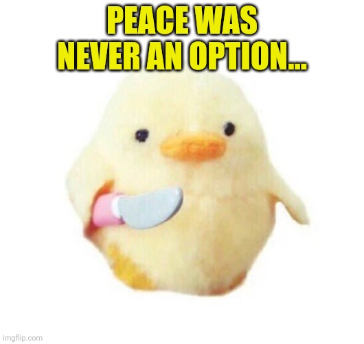 Duck with knife | PEACE WAS NEVER AN OPTION... | image tagged in duck with knife | made w/ Imgflip meme maker