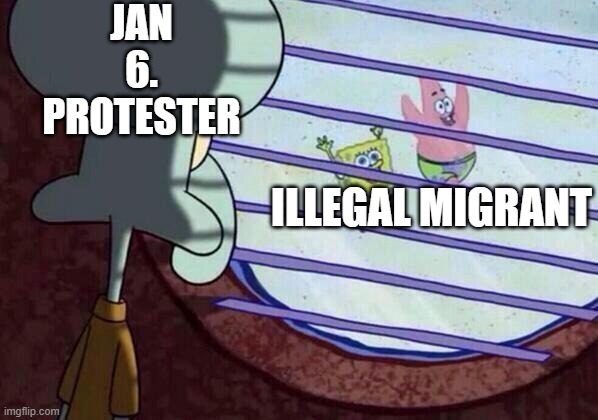 Squidward window | JAN 6. PROTESTER; ILLEGAL MIGRANT | image tagged in squidward window | made w/ Imgflip meme maker