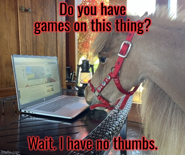 Deep thoughts | Do you have games on this thing? Wait. I have no thumbs. | image tagged in deep thoughts,horse,computer,do you have,games on your phone | made w/ Imgflip meme maker