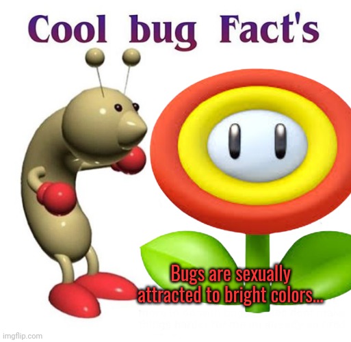 No this is not ok | Bugs are sexually attracted to bright colors... | image tagged in cool bug facts,bugs,skeletor disturbing facts | made w/ Imgflip meme maker