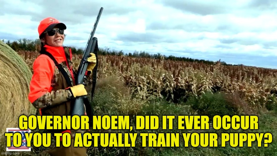Puppy-killer | GOVERNOR NOEM, DID IT EVER OCCUR TO YOU TO ACTUALLY TRAIN YOUR PUPPY? | image tagged in kristie noem | made w/ Imgflip meme maker