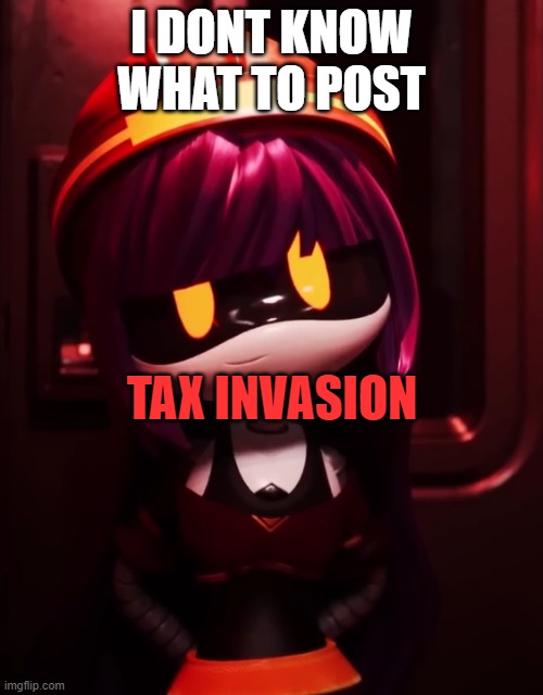 Idk | I DONT KNOW WHAT TO POST; TAX INVASION | image tagged in doll looking innocent,funny,i dont care | made w/ Imgflip meme maker