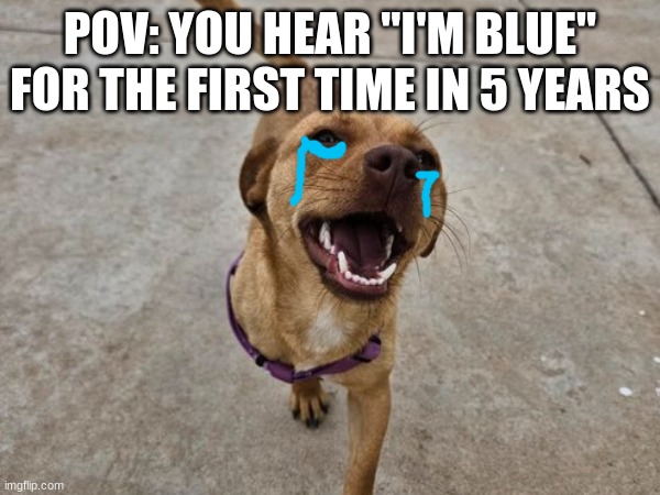 I'm Blue | POV: YOU HEAR "I'M BLUE" FOR THE FIRST TIME IN 5 YEARS | image tagged in sad,nostalgia | made w/ Imgflip meme maker