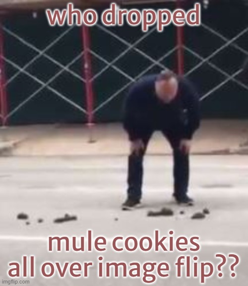 When a Stream devolves into a Pissing match between Two Users and 500 of their Alts. | who dropped; mule cookies all over image flip?? | image tagged in alex jones infowars yells at horse poop | made w/ Imgflip meme maker