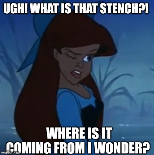 ariel disgusted | UGH! WHAT IS THAT STENCH?! WHERE IS IT COMING FROM I WONDER? | image tagged in ariel disgusted | made w/ Imgflip meme maker