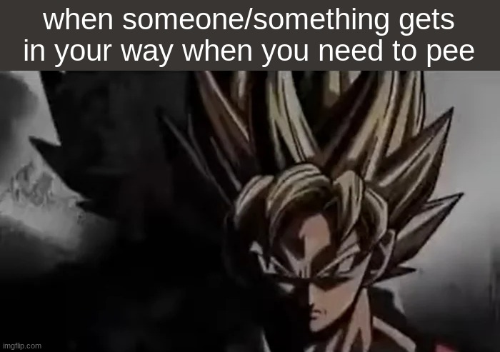 gotta admit, its trues | when someone/something gets in your way when you need to pee | image tagged in goku staring,goku,fun,relatable,true | made w/ Imgflip meme maker