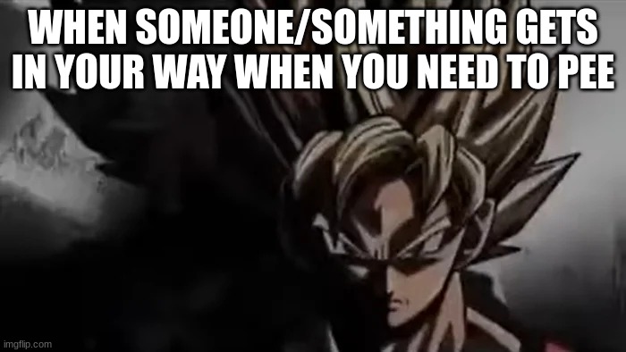 gotta admit, its true | WHEN SOMEONE/SOMETHING GETS IN YOUR WAY WHEN YOU NEED TO PEE | image tagged in goku staring,memes,fun,relatable,so true | made w/ Imgflip meme maker
