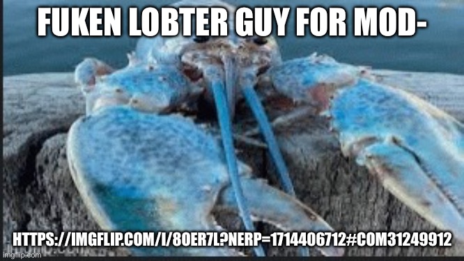 blue lobter | FUKEN LOBTER GUY FOR MOD-; HTTPS://IMGFLIP.COM/I/8OER7L?NERP=1714406712#COM31249912 | image tagged in blue lobter | made w/ Imgflip meme maker