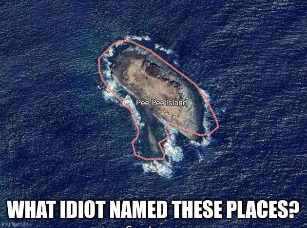 Pee Pee Island | WHAT IDIOT NAMED THESE PLACES? | image tagged in pee pee island | made w/ Imgflip meme maker