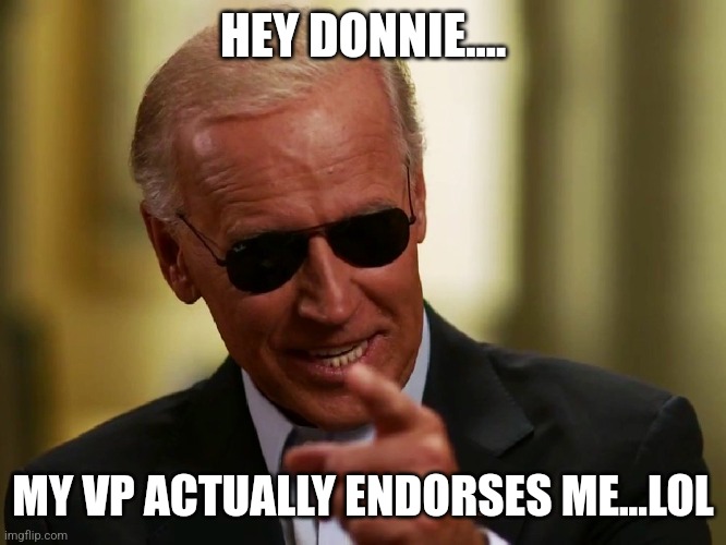 Laughing Brandon | HEY DONNIE.... MY VP ACTUALLY ENDORSES ME...LOL | image tagged in joe biden,conservative,republican,trump,maga,nevertrump | made w/ Imgflip meme maker