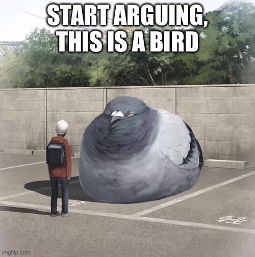 Beeg Birb | START ARGUING, THIS IS A BIRD | image tagged in beeg birb | made w/ Imgflip meme maker