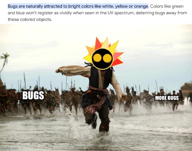Bro will attract half of the world's bugs- | BUGS; MORE BUGS | image tagged in captain jack sparrow running | made w/ Imgflip meme maker