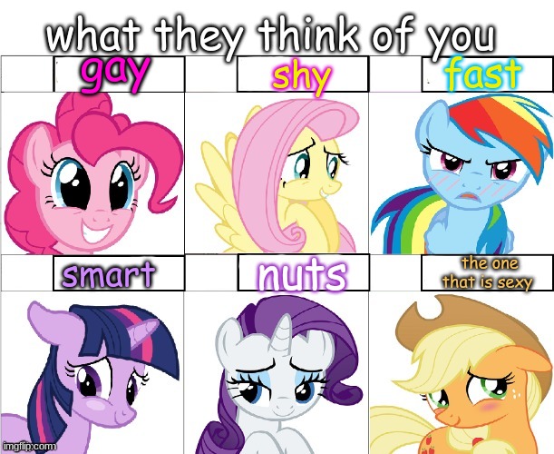 Pony reaction | what they think of you; gay; fast; shy; nuts; the one that is sexy; smart | image tagged in pony reaction | made w/ Imgflip meme maker
