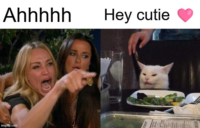 Crazy cat | Ahhhhh; Hey cutie 🩷 | image tagged in memes,woman yelling at cat | made w/ Imgflip meme maker