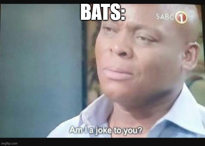 Am I a joke to you? | BATS: | image tagged in am i a joke to you | made w/ Imgflip meme maker