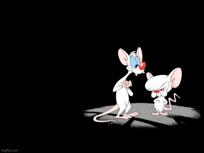 Pinky And The Brain | image tagged in pinky and the brain | made w/ Imgflip meme maker