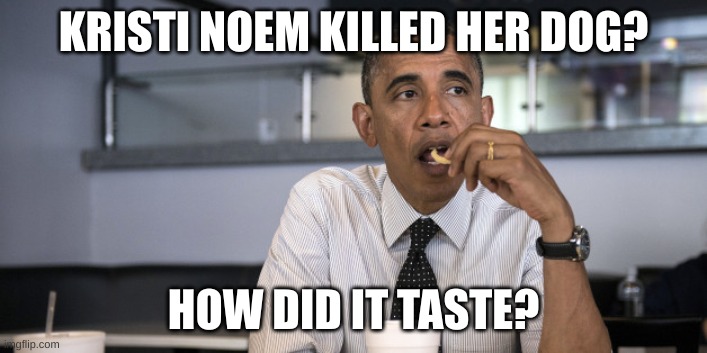 noem dog | KRISTI NOEM KILLED HER DOG? HOW DID IT TASTE? | image tagged in obama eats alone | made w/ Imgflip meme maker