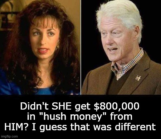 Different | Didn't SHE get $800,000 in "hush money" from HIM? I guess that was different | image tagged in hush money,hillary clinton,donald trump | made w/ Imgflip meme maker