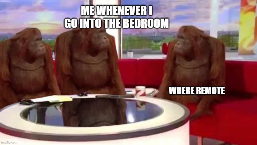 where monkey | ME WHENEVER I GO INTO THE BEDROOM; WHERE REMOTE | image tagged in where monkey,tv,remote control,monkey | made w/ Imgflip meme maker